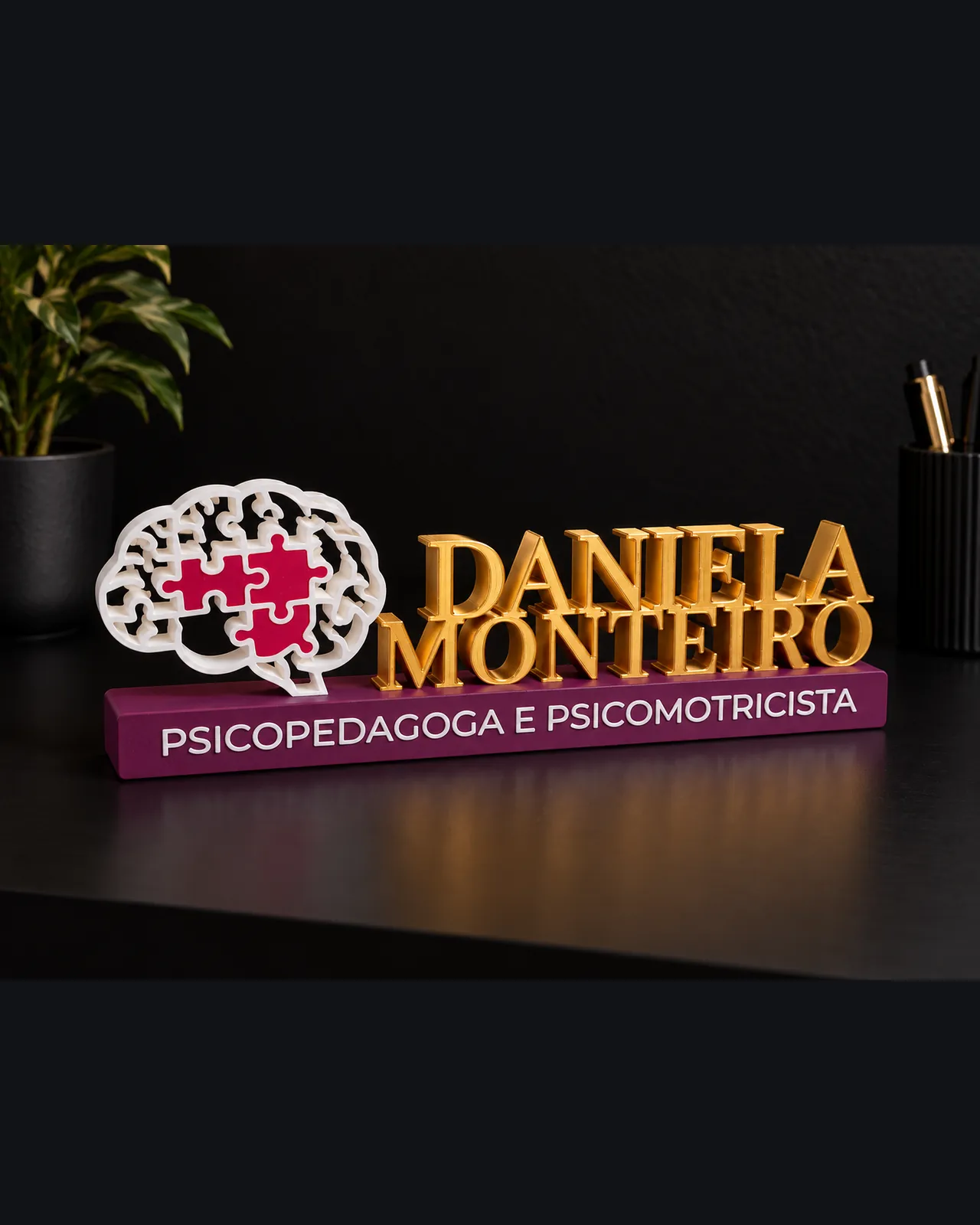 PLACAS PROFISSIONAIS